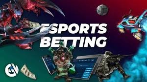 bsport app